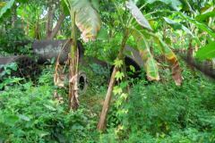 lon_20140627_1674773726