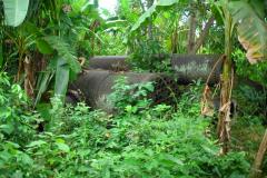 lon_20140627_2010000219