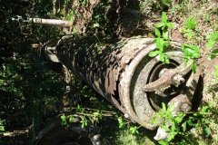 trieenc_20140627_1238754957