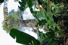 trieenc_20140627_1024429139