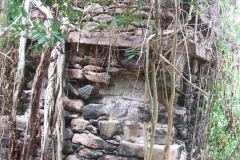 trieenc_20140627_1045378422
