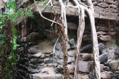 trieenc_20140627_1910196182