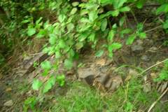 lon_20140627_1182788968