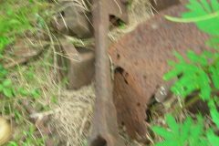 lon_20140627_1514190950
