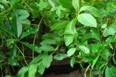 lon_20140627_1589326114
