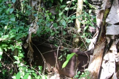 trieenc_20140627_1052242882