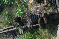 trieenc_20140627_1416173122