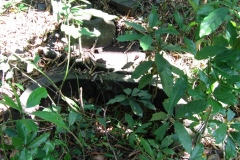 trieenc_20140627_1571923595