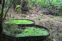 batterie_a_s_20140627_1158128230