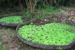 batterie_a_s_20140627_1630945405