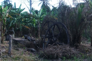 Mirereni : les journées du patrimoine