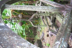 mirereni_moteur_horizo_20140627_1406684734