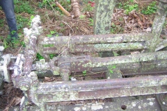 mirereni_moteur_horizo_20140627_1424264164