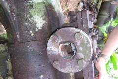 mirereni_moteur_vert_20140627_1024628275
