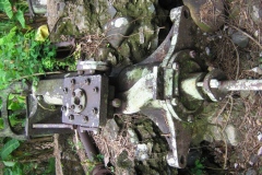 mirereni_moteur_vert_20140627_1303825544