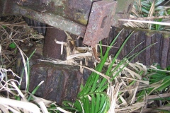 mirereni_moteur_vert_20140627_1368782575