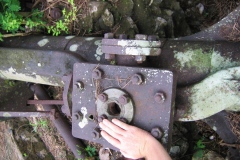 mirereni_moteur_vert_20140627_1455724062