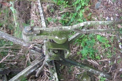 mirereni_moteur_vert_20140627_1643612858