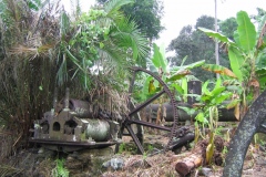 Moulin à cannes sur roue, FAWCETT et PRESTON (MIRERENI)