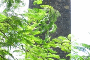Site de Kaweni (SPPM)