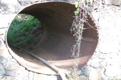 DSCF0324
