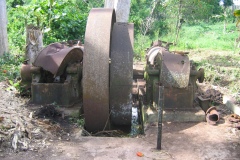 11-decembre05-mroale-07