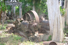 11-decembre05-mroale-14-Copie