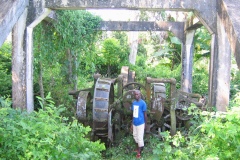 Photo-007-Copie