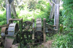Photo-010-Copie