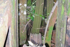 Photo-027-Copie