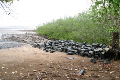 embarca_20140627_1363153665