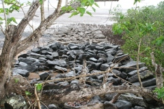 embarca_20140627_1620942387