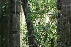 maison_du_ma_20140627_1756195514