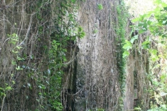 maison_du_ma_20140627_2061415153