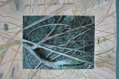 travaux_deleves_de_1ere_l1_du_lycee_de_sada_23_20140707_2089492180