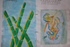 travaux_deleves_de_1ere_l1_du_lycee_de_sada_27_20140707_1583633169