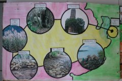 travaux_deleves_de_1ere_l1_du_lycee_de_sada_53_20140707_1648317944