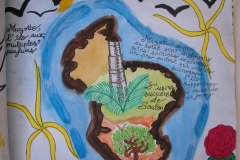 travaux_deleves_de_1ere_l1_du_lycee_de_sada_78_20140707_1694622256